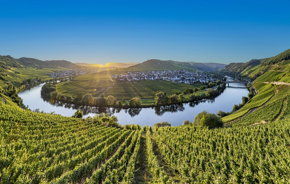 Importance of Wine in Moselle Valley History and Culture